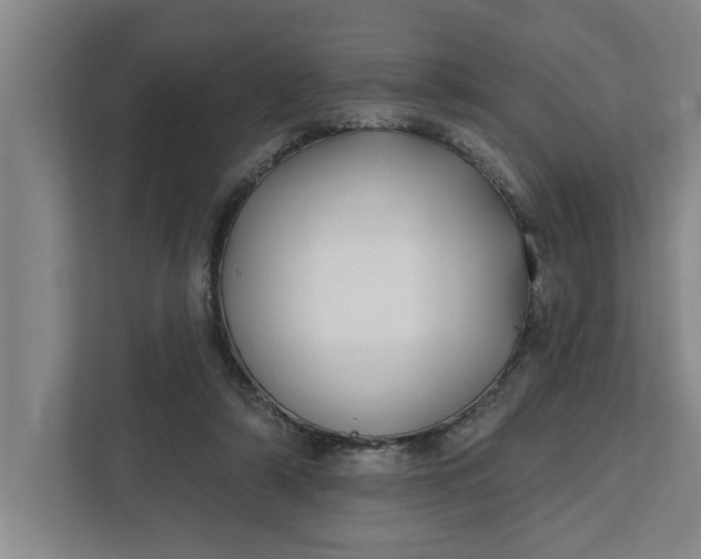 X0000112360306200908271258