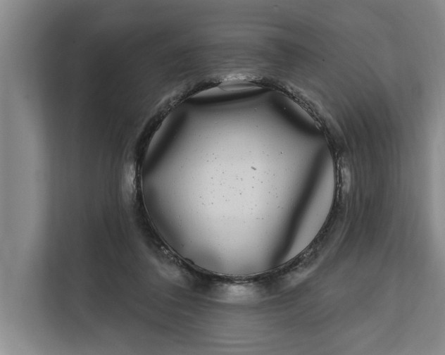 X0000112360308200908271258