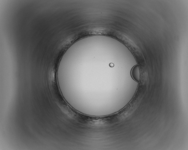 X0000112360310200908271258