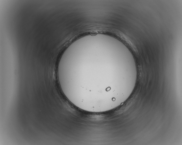 X0000112360313200908271258