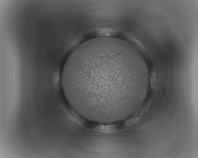 X0000112360314200908271258