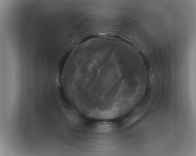 X0000112360316200908271258