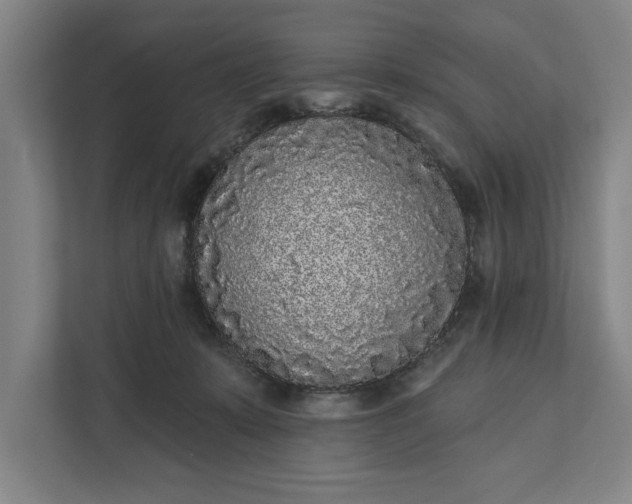 X0000112360319200908271258