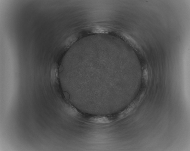 X0000112360322200908271258