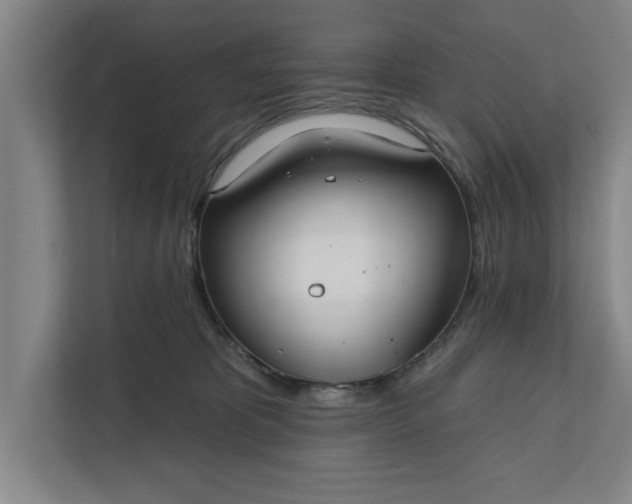 X0000112360325200908271258