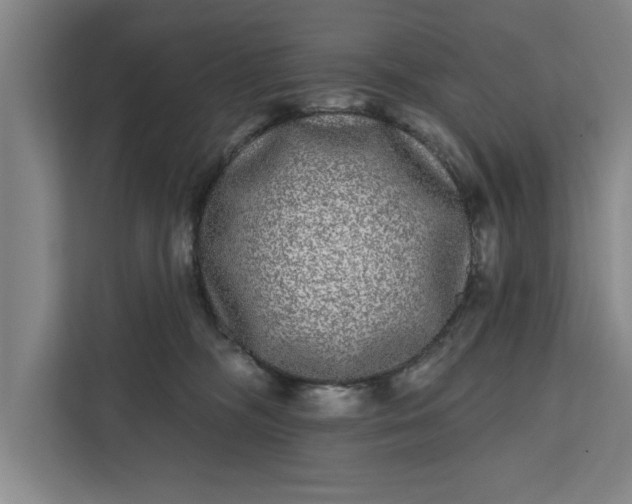 X0000112360326200908271258