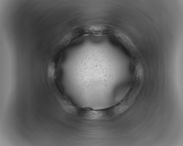 X0000112360328200908271258