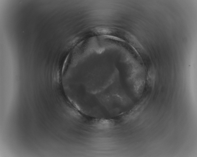 X0000112360330200908271258