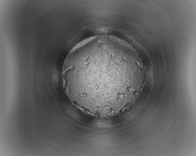 X0000112360331200908271258