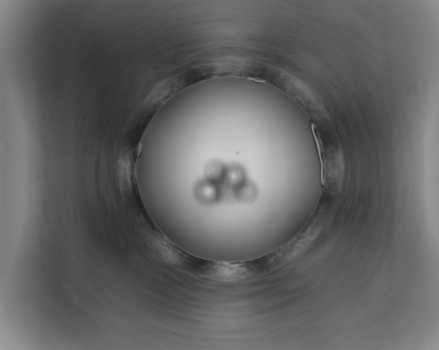 X0000112360333200908271258