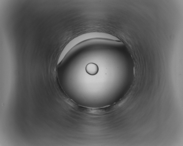 X0000112360336200908271258