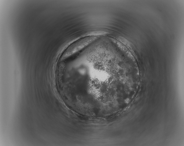 X0000112360337200908271257