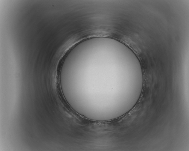 X0000112360338200908271257