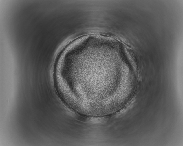 X0000112360341200908271257