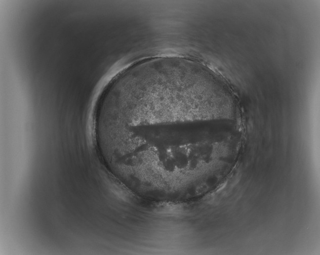 X0000112360343200908271257