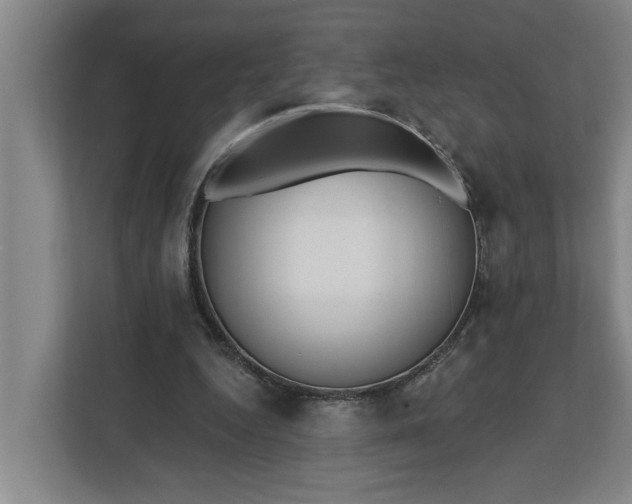 X0000112360344200908271258