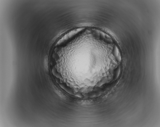 X0000112360345200908271258