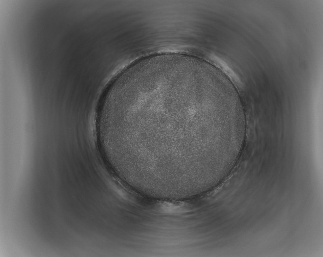 X0000112360346200908271258