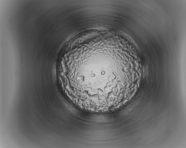 X0000112360349200908271258