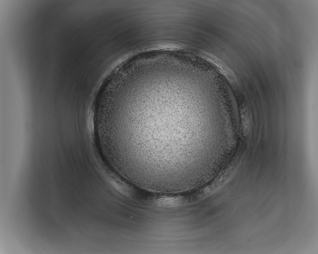 X0000112360350200908271258