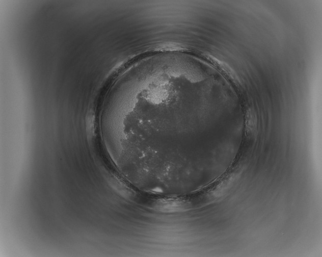 X0000112360351200908271258