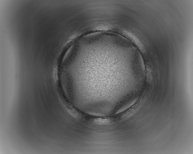 X0000112360354200908271258