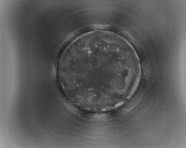 X0000112360357200908271258