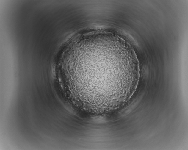 X0000112360358200908271258