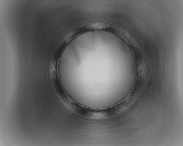 X0000112360360200908271258