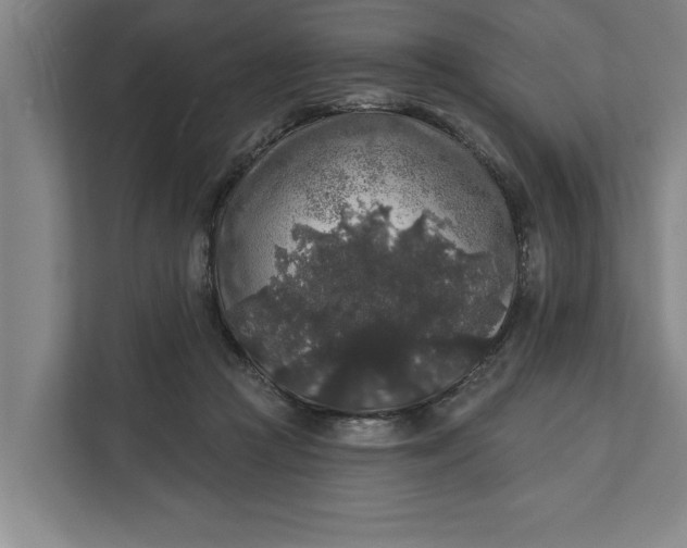 X0000112360361200908271258