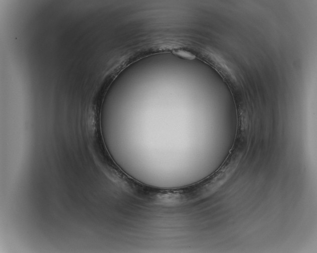 X0000112360362200908271258