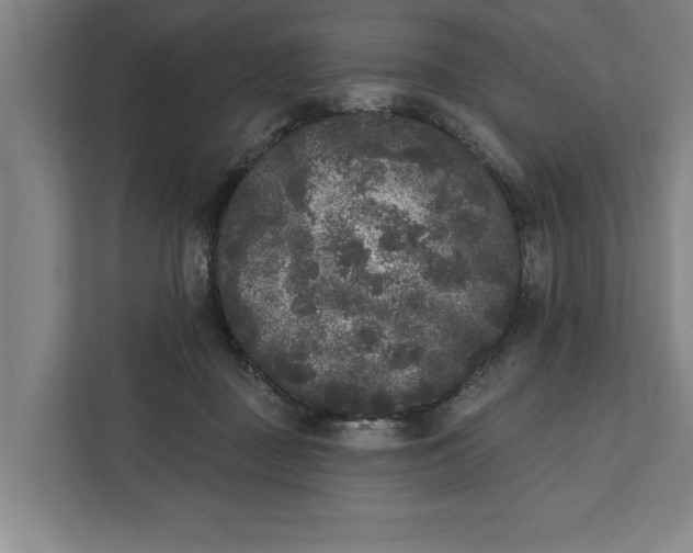 X0000112360363200908271258