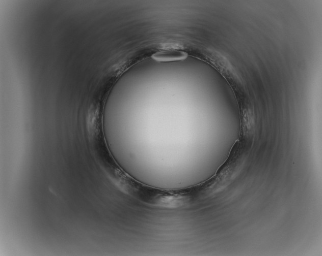 X0000112360364200908271258