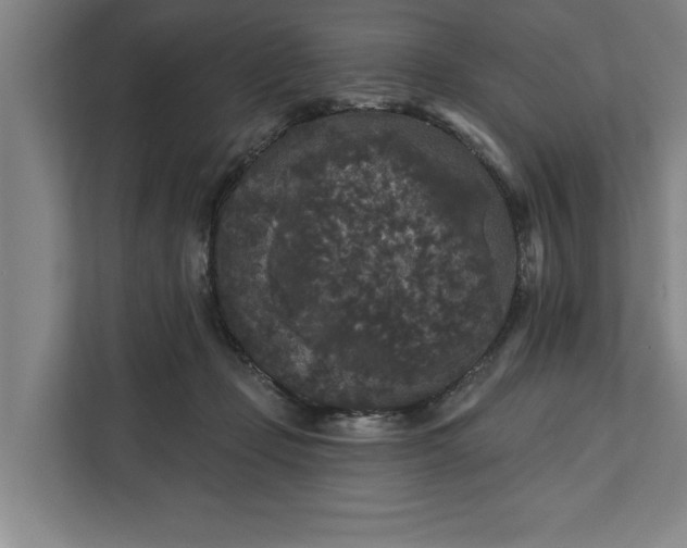 X0000112360365200908271258