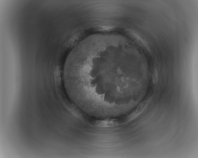 X0000112360366200908271258