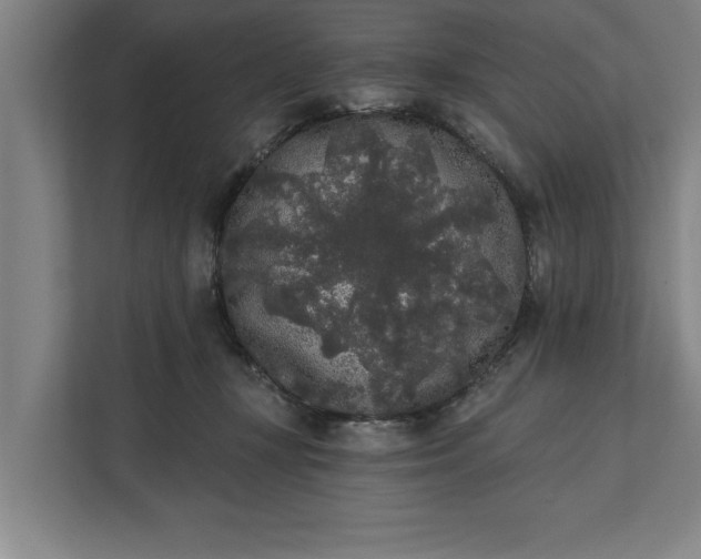 X0000112360367200908271258