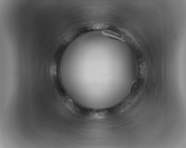 X0000112360368200908271258