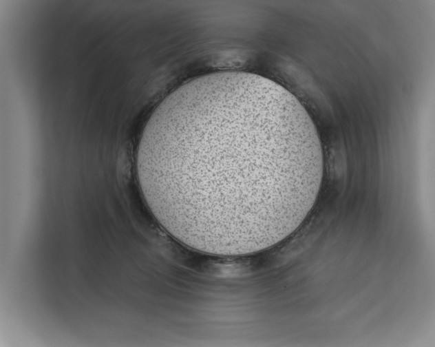 X0000112360370200908271258