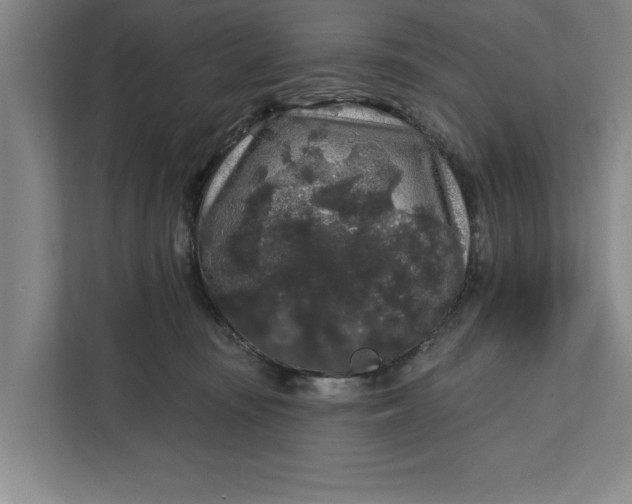 X0000112360371200908271258