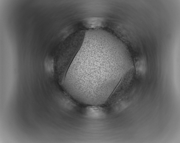 X0000112360372200908271258