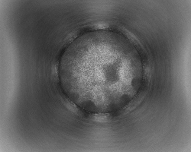 X0000112360373200908271258