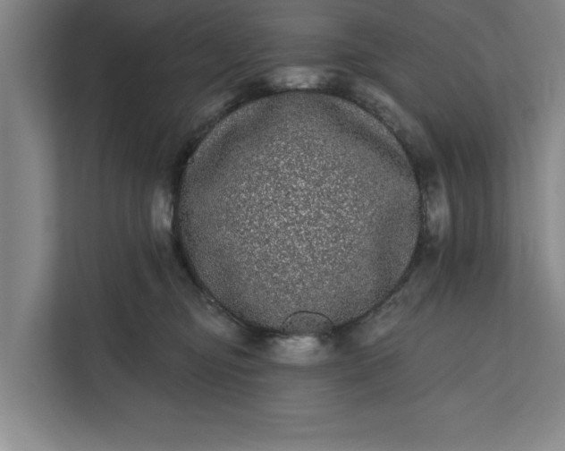 X0000112360374200908271258