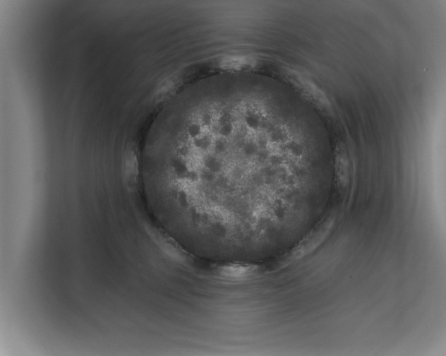 X0000112360375200908271258