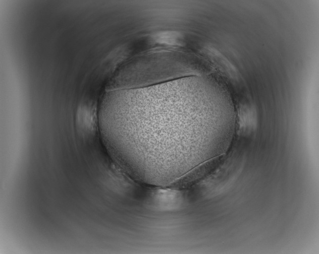 X0000112360376200908271258