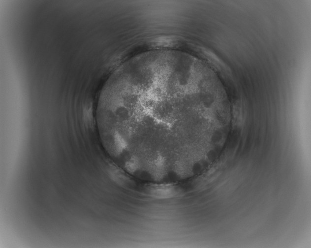 X0000112360377200908271258