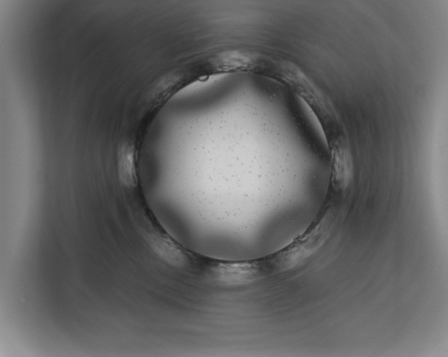 X0000112360378200908271258