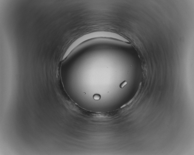 X0000112360380200908271258