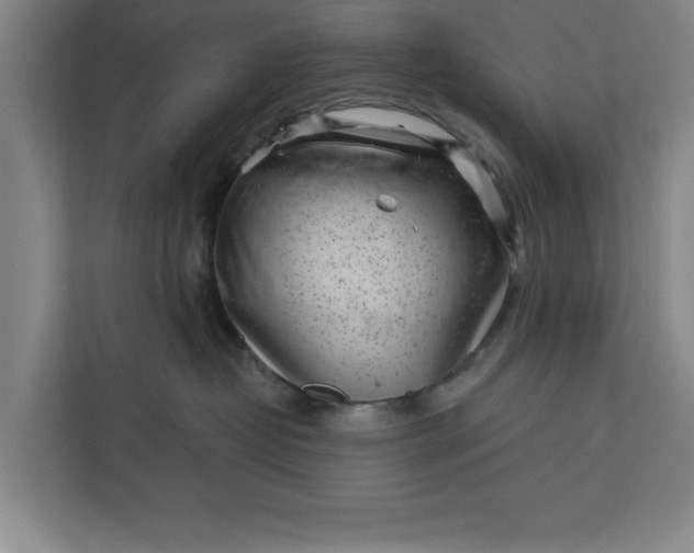 X0000112360382200908271258