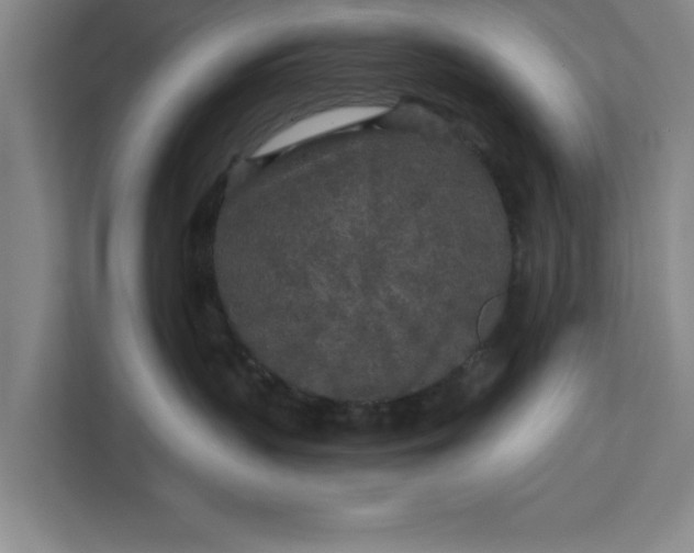 X0000112360383200908271258