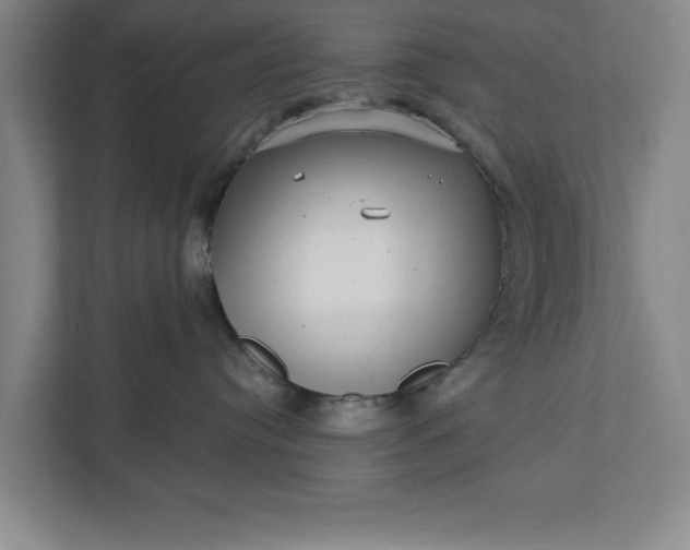 X0000112360384200908271258